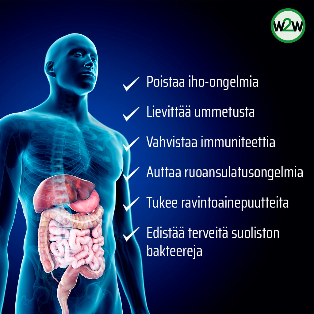 Vatsan ja suoliston hyvinvointi -paketti terveyshyödyt