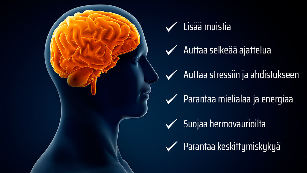 Ravinnon avulla energinen aivotoiminta ja muisti