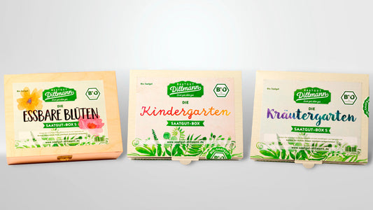 Aloita syötävä kasvipuutarha – ja kasvata omat koristeesi