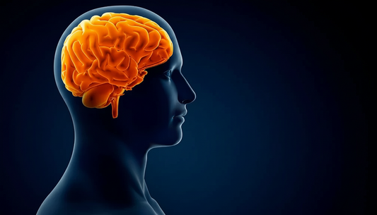 Ravinnon avulla energinen aivotoiminta ja muisti