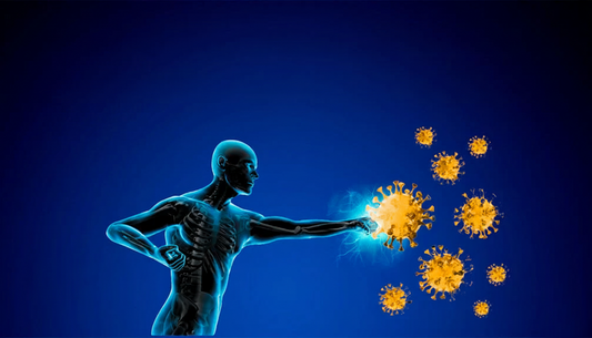 Vinkkejä vastustuskyvyn ja yleisen hyvinvoinnin tukemiseen – Ruokavalio ja elämäntapa