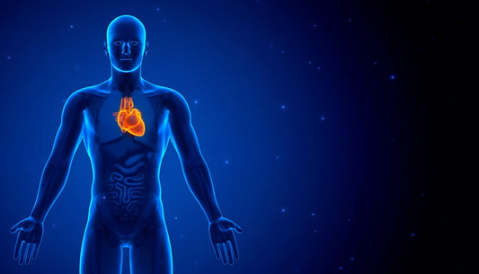 Tehokkaita tapoja pitää huolta sydän ja verisuoniterveydestäsi