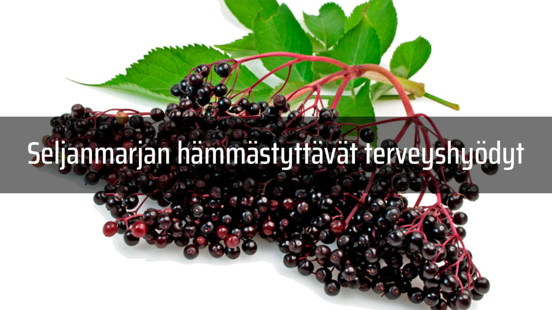 w2w terveys ja hyvinvointi Seljanmarjan terveydelliset hyödyt